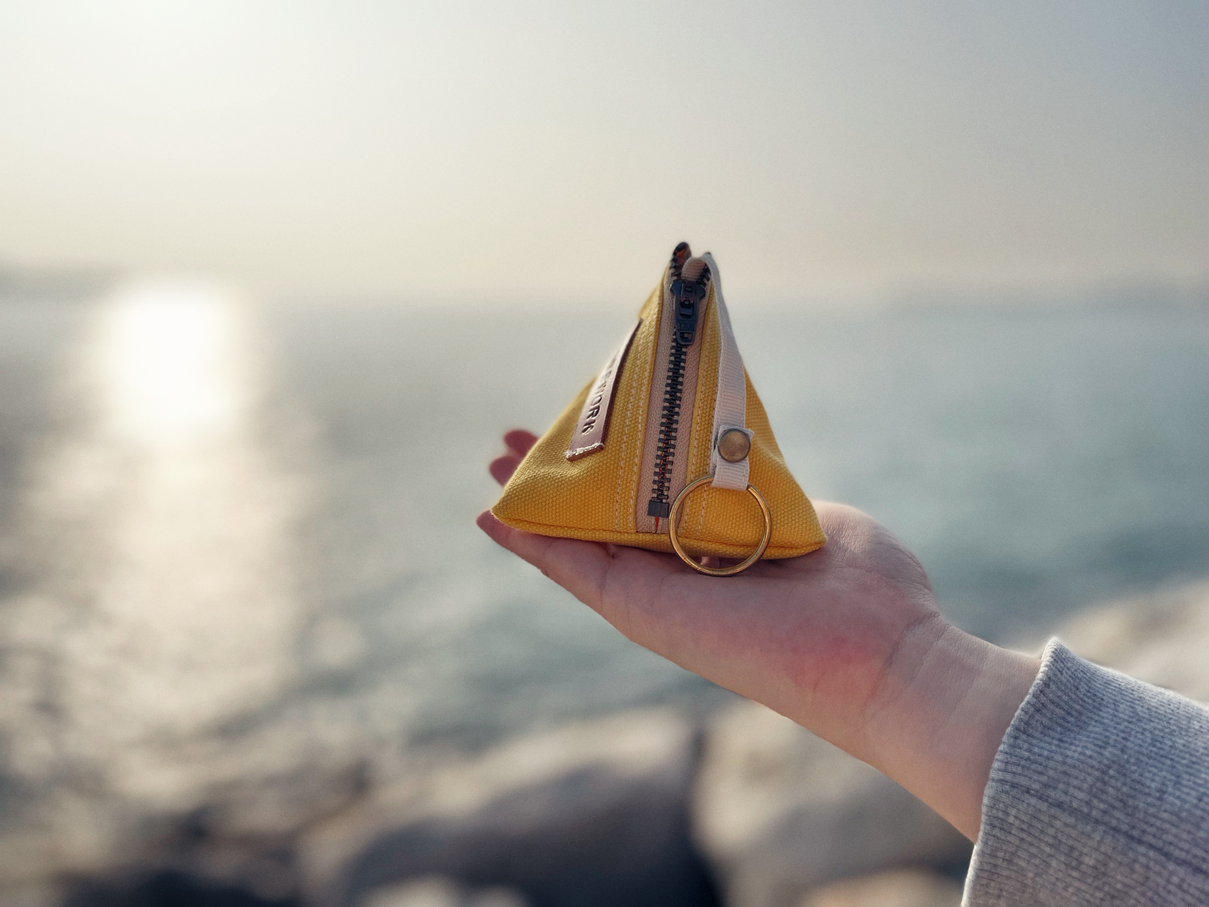 Rice Dumpling Coin Pouch